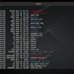 Chmod command linux unix hope gif examples help permissions computer updated