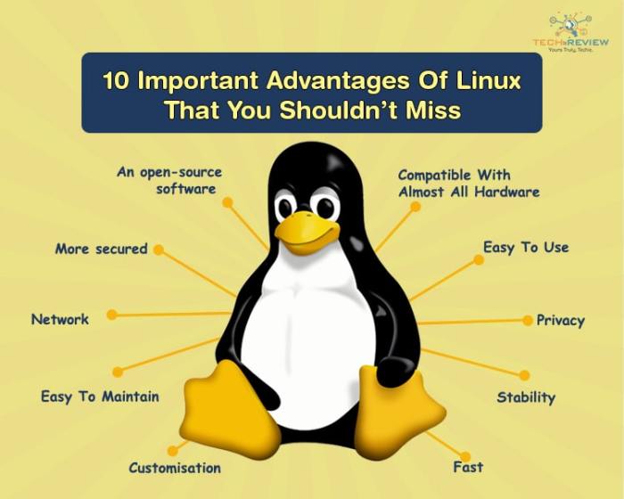 Linux advantages javatpoint