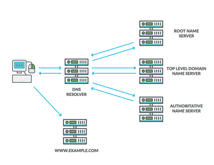 Dns grandmetric