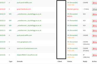 Hostname dns pribadi