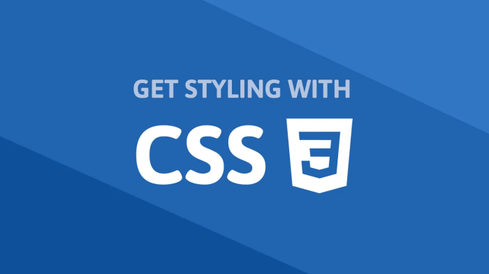 Belajar css