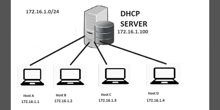 Apa itu dhcp server