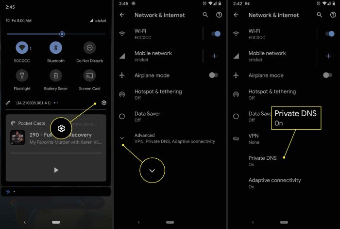 Cara setting dns 1.1 1.1 di android