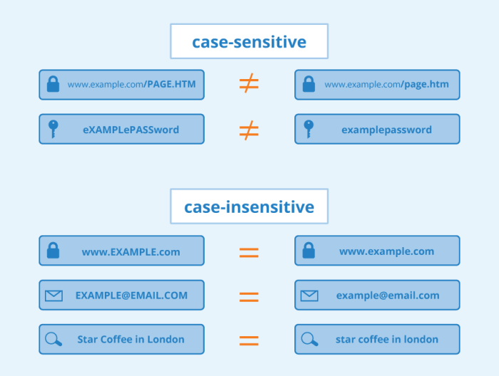 Apa itu case sensitive