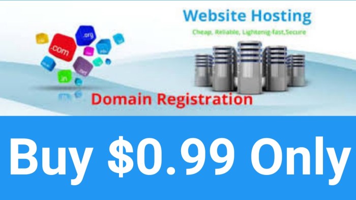 Beli domain dan hosting murah