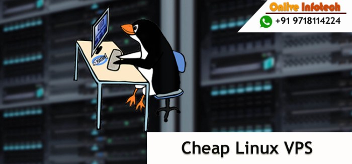 Vps linux cheap server hosting