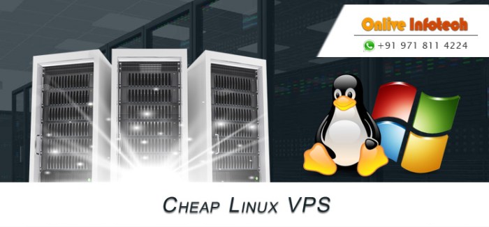 Vps linux murah