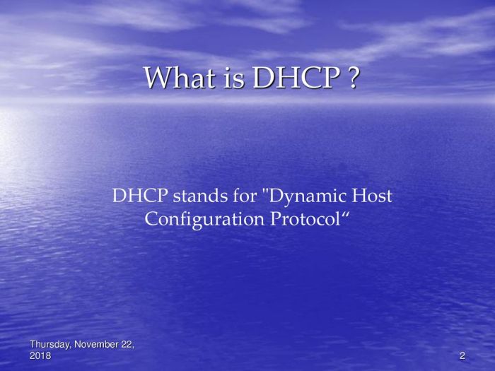 Dhcp protocol host