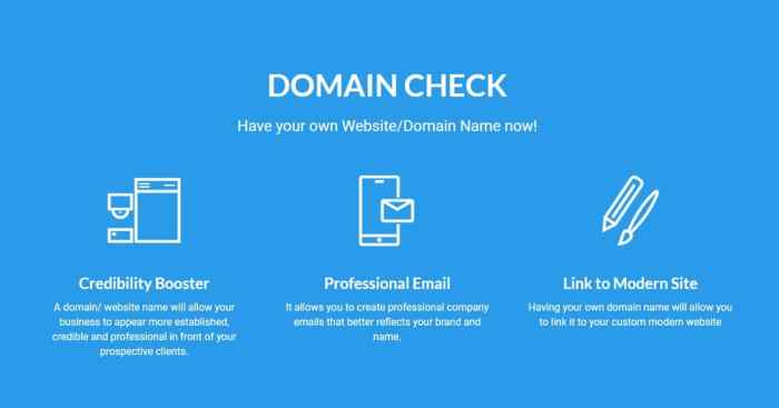 Domain cek