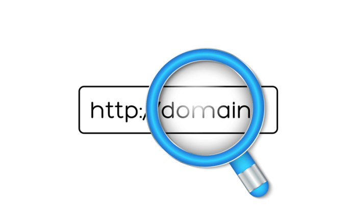 Cek domain