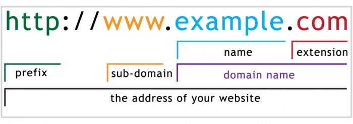 Domain name good url names business anatomy choose web seo exclusively marketers essential terms choosing stand tips brandyourself just which