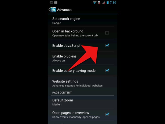 Cara mengaktifkan javascript di android