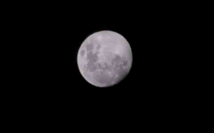 Moon using smartphone