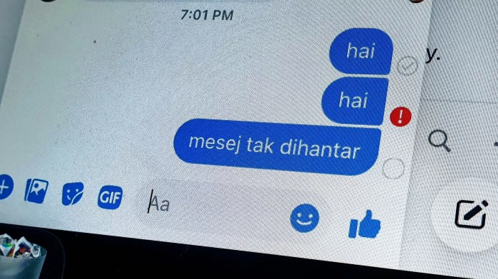 Kenapa messenger online terus