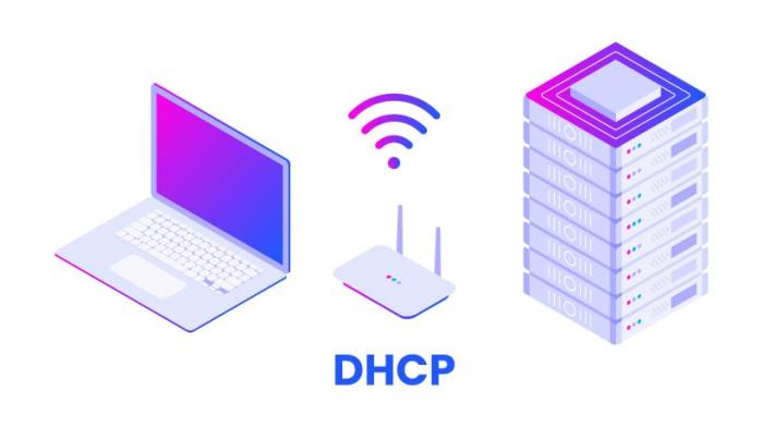 Dhcp ip