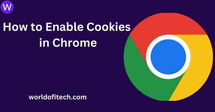 Cara mengaktifkan cookie di chrome android