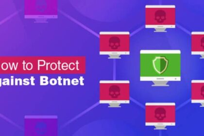 Botnet detection ddos overcome attempting