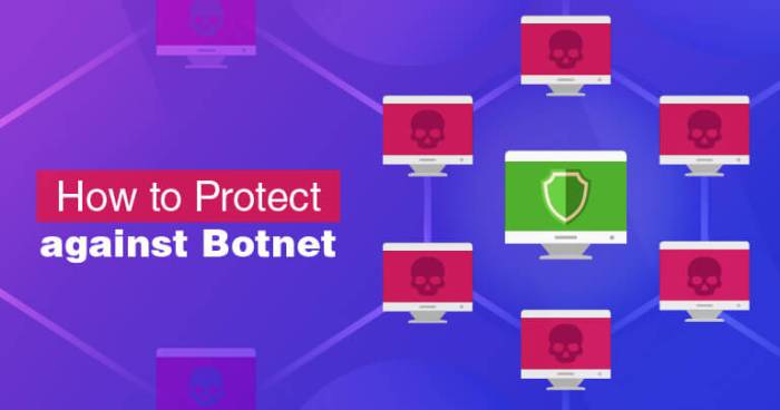 Botnet detection ddos overcome attempting