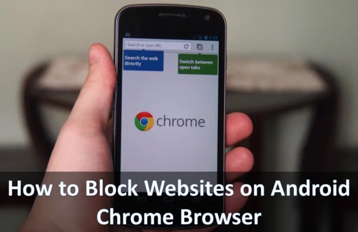 Websites chrome block