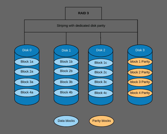 Raid disk