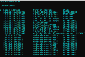 Netstat adalah