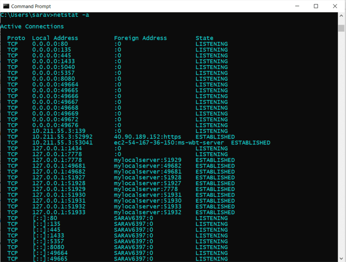 Netstat adalah