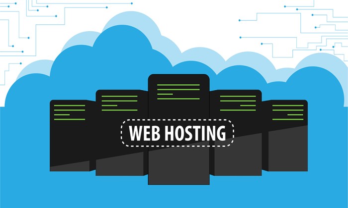 Vps servers virtual hosting private web shared explained dedicated