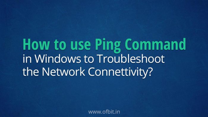 Ping test network use command howtogeek