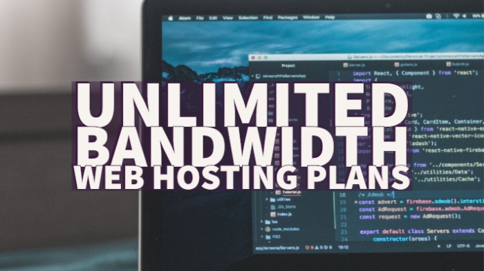 Unlimited hosting