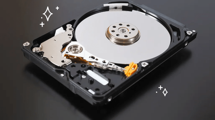 Raid hard disk