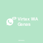 Virtex wa download