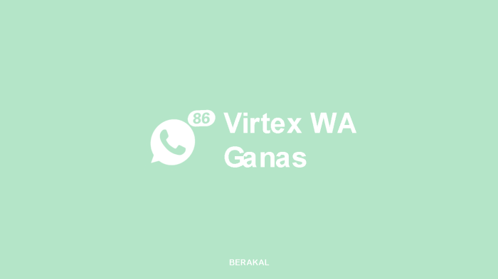 Virtex wa download