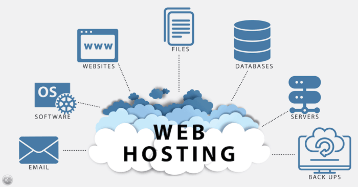 Web hosting web