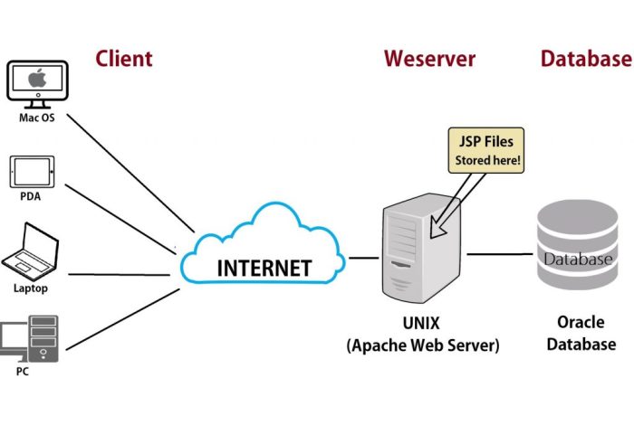 Web hosting