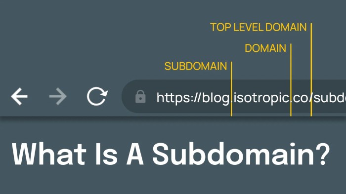 Subdomain