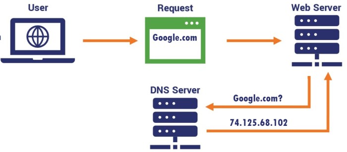 Lookup server name domain difference between there nslookup output example windows