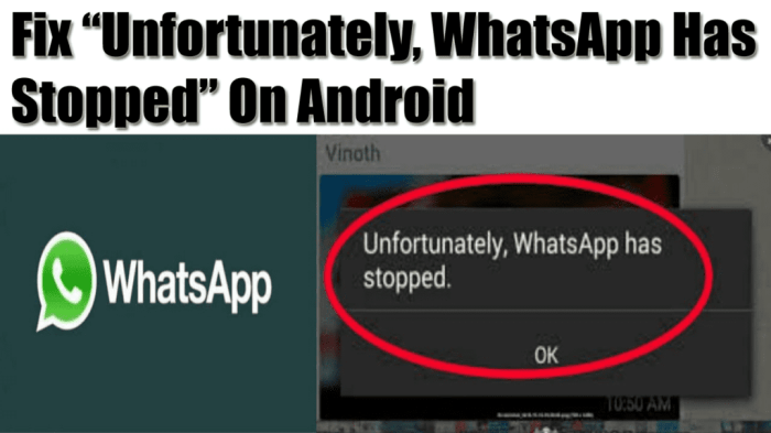 Error whatsapp