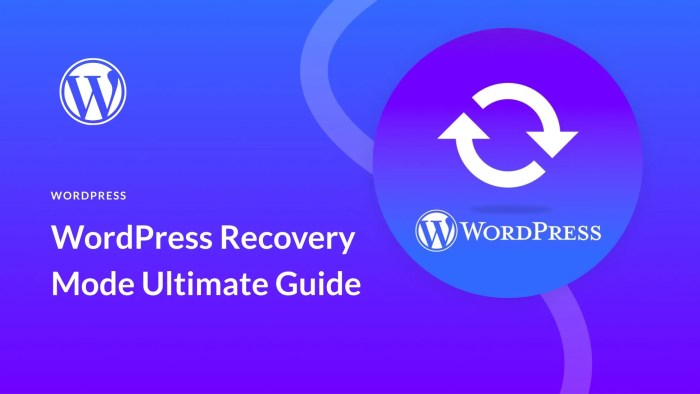 Recovery mode wordpress