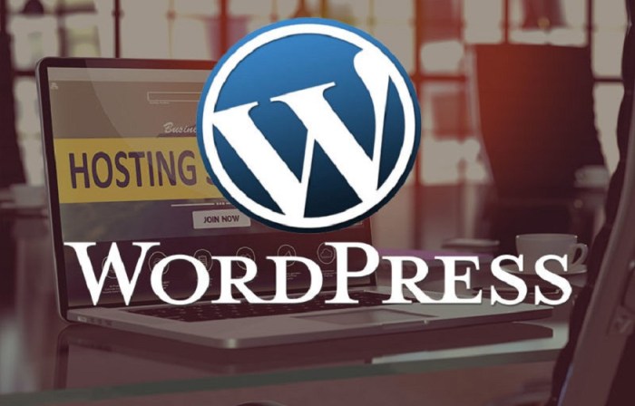 Wordpress hosting