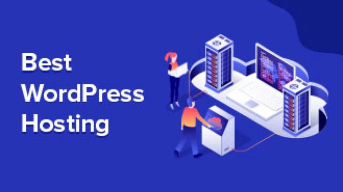 Wordpress hosting