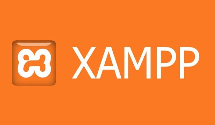 Xampp database