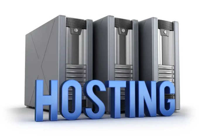 Paket hosting