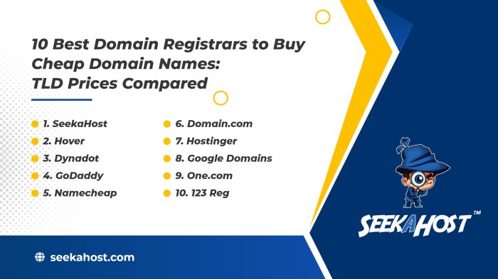 Beli domain dan hosting murah