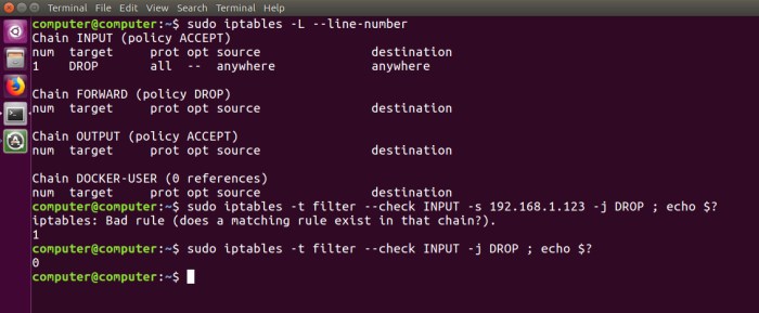 Iptables linux command examples if geeksforgeeks rule check returns not exists present chain