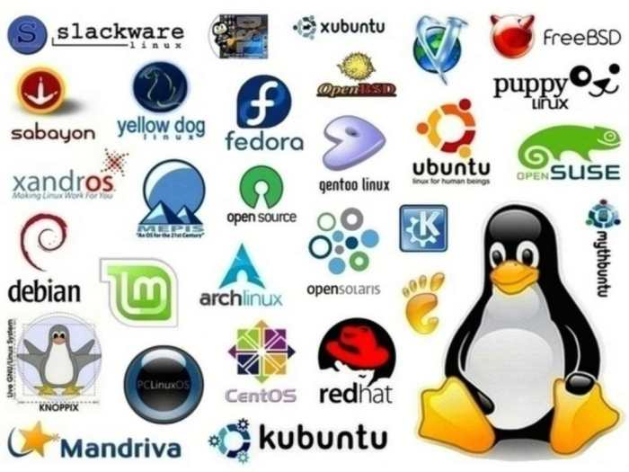 Variasi dari sistem operasi linux biasa disebut dengan