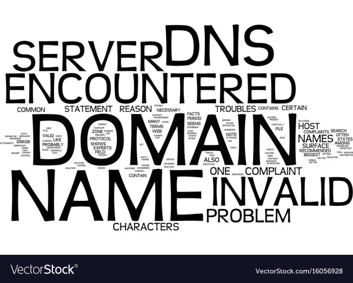 Dns_probe_finished_nxdomain