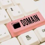 Domain cek