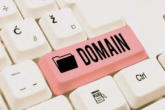 Domain cek