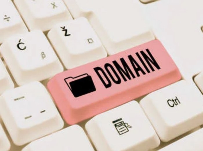 Domain cek