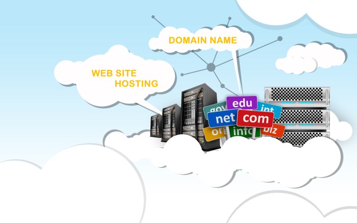 Harga hosting dan domain